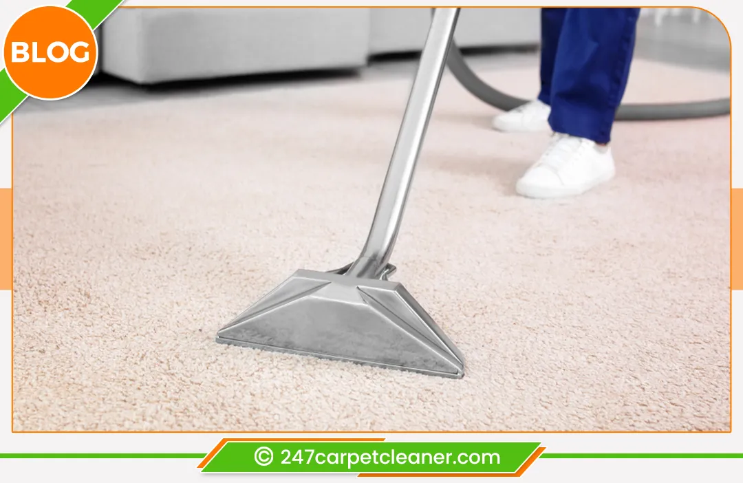 carpet cleaners in Staten Island, carpet cleaning in Staten Island, carpet cleaning staten island, carpet cleaners in staten island,  commercial carpet cleaning, commercial carpet cleaning in staten island,carpet cleaning in staten island,  staten island rug cleaners, rug cleaning services in staten island, same day carpet cleaning, same day rug cleaning