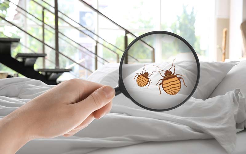 carpet cleaners in Staten Island, carpet cleaning in Staten Island, carpet cleaning staten island, carpet cleaners in staten island,  commercial carpet cleaning, commercial carpet cleaning in staten island,carpet cleaning in staten island,  staten island rug cleaners, rug cleaning services in staten island, same day carpet cleaning, same day rug cleaning